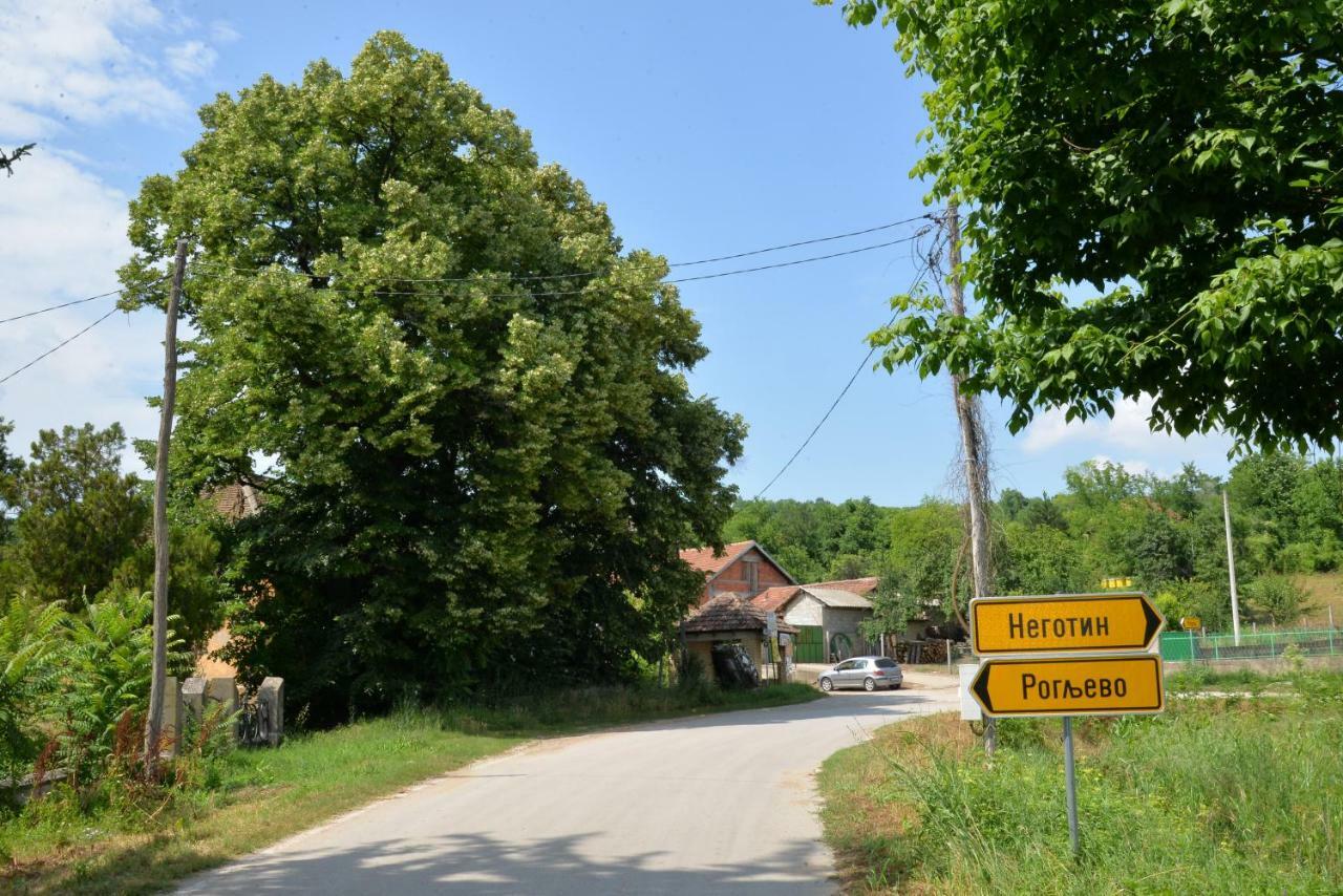 Country House Dunjin Konak Rogljevo Экстерьер фото