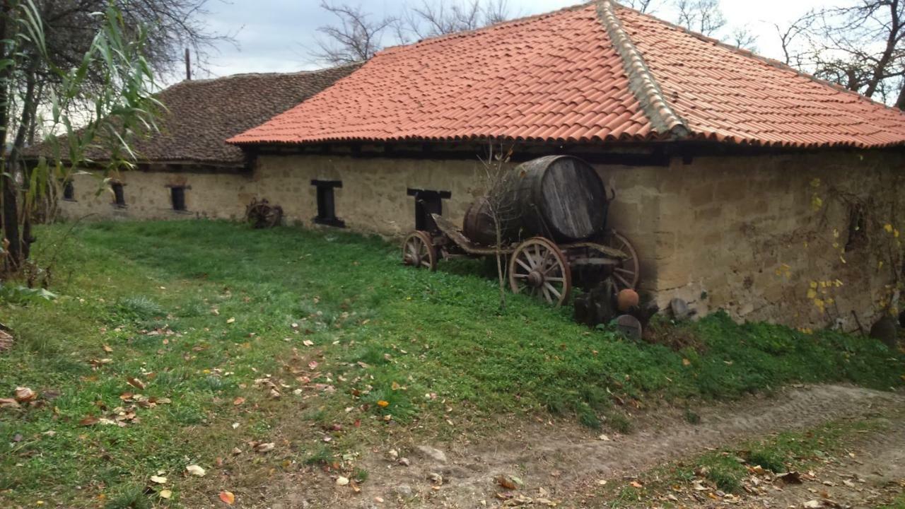Country House Dunjin Konak Rogljevo Экстерьер фото